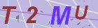 請輸入圖片內文字