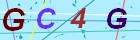 請輸入圖片內文字