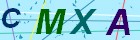 請輸入圖片內文字