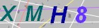 請輸入圖片內文字